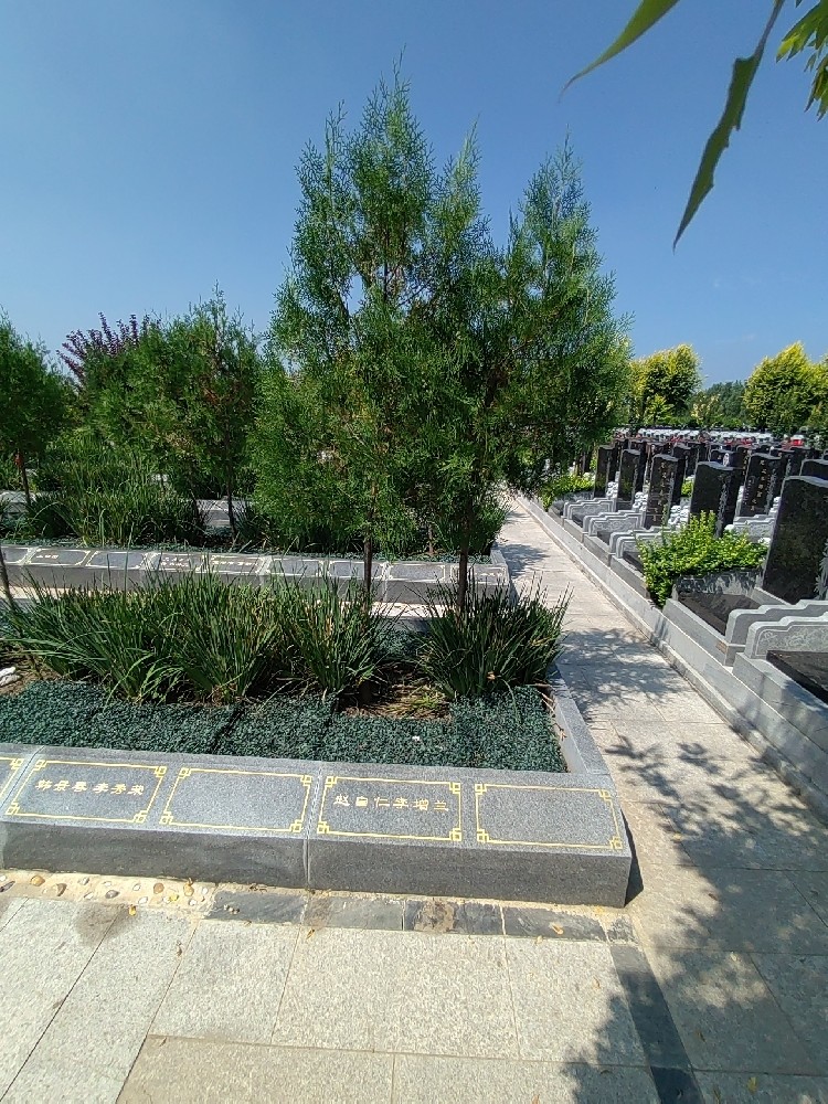 天津公墓-天津公墓告诉您凝聚力与认同感的重要性