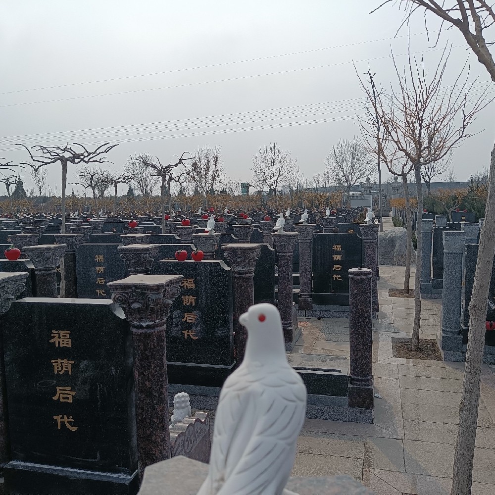 天津公墓-天津公墓哪家环境更加宜人