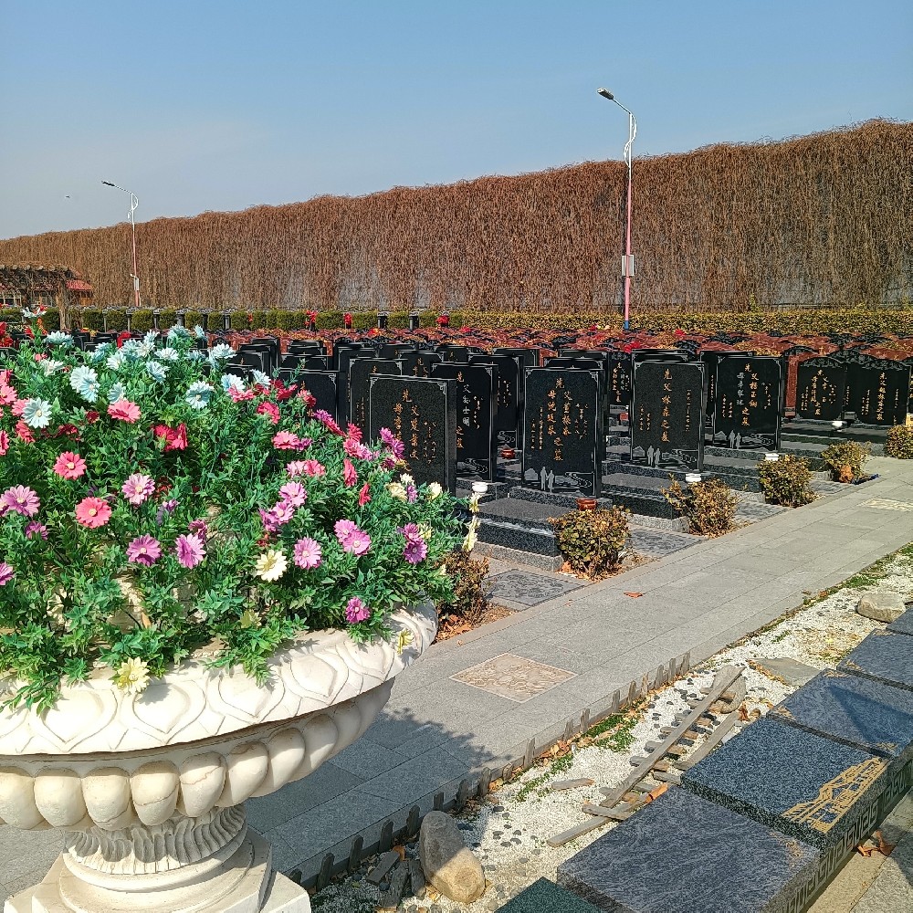 1740490588152408.jpg 微信图片_20240407221506.jpg