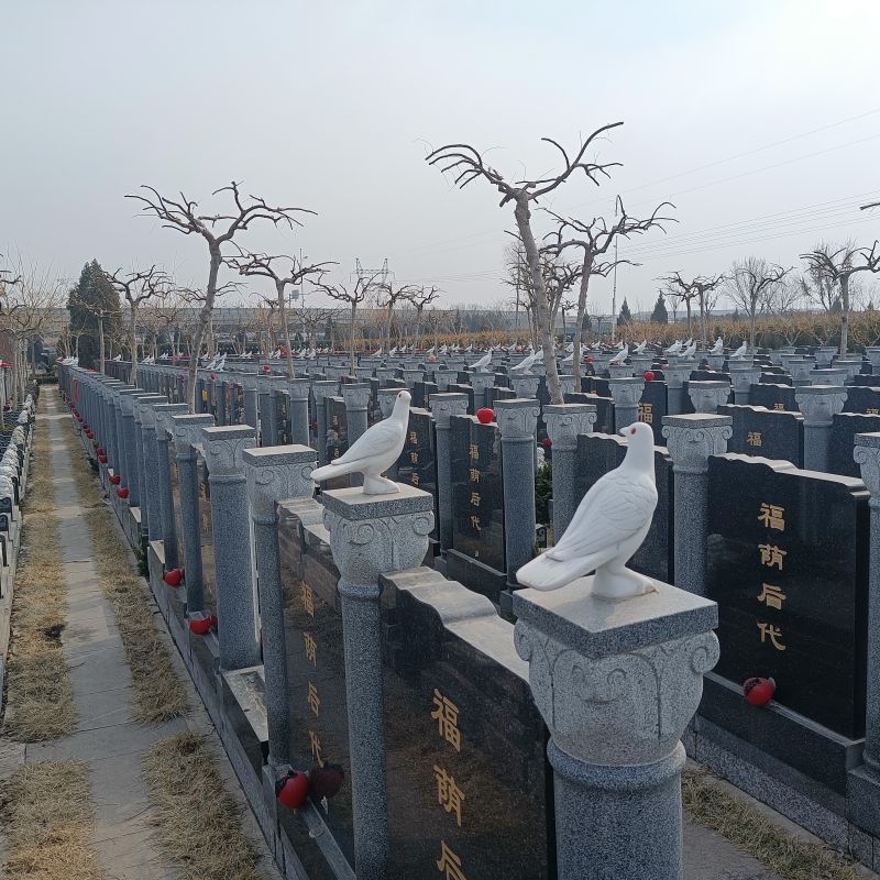 永安陵公墓-永安陵人文纪念园园林化的生态环境